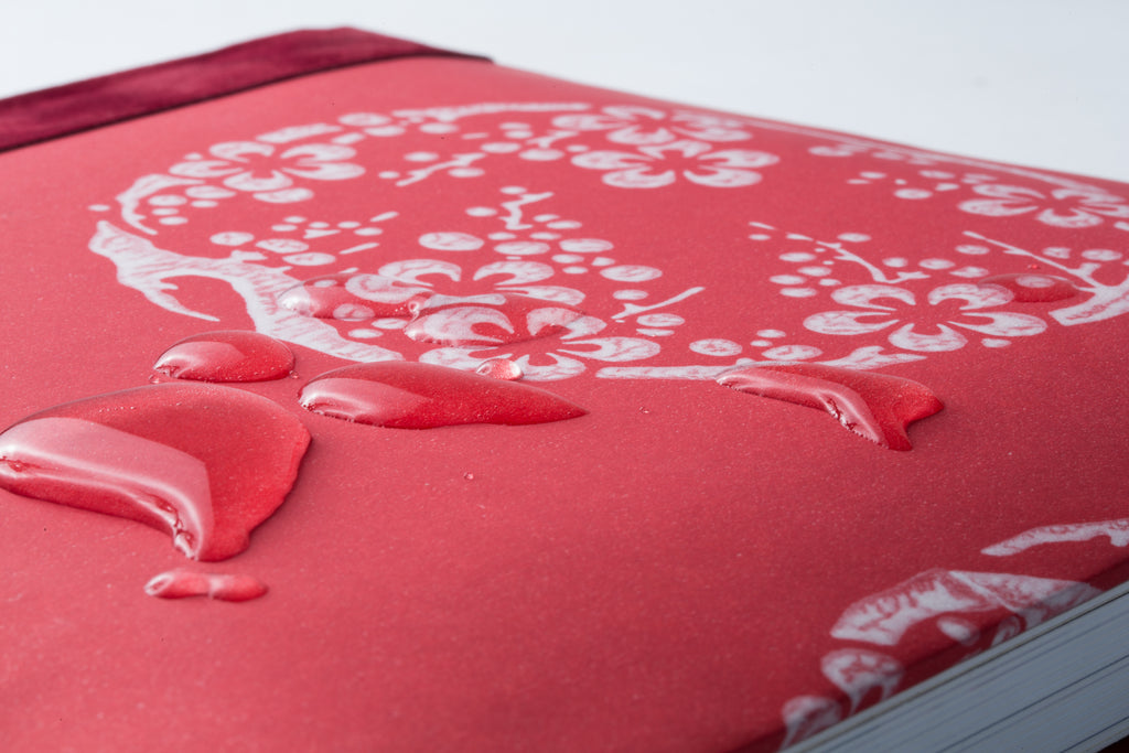 梅の丸 Umenomaru